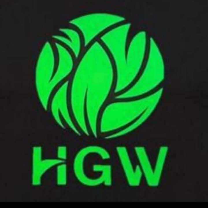 HGW Health Green World - Nuestro Negocio Global
